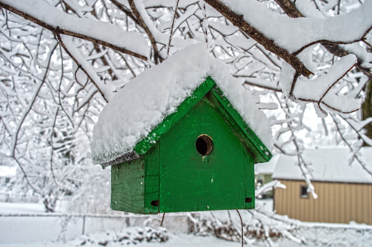 How to Build a DIY Birdhouse for Your Garden